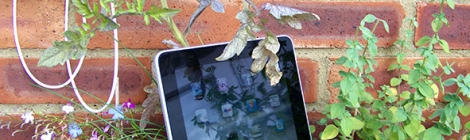 iPad in garden picture
