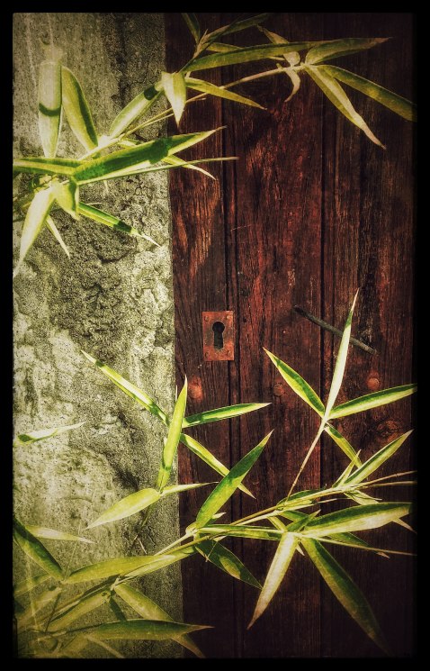 keyhole and bamboo