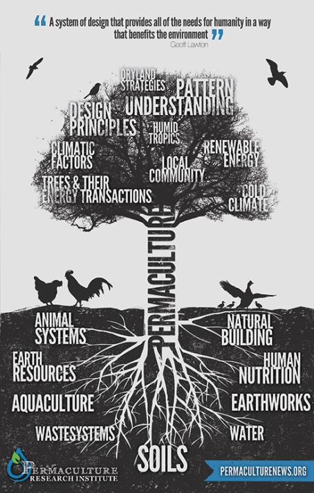 Permaculture Tree